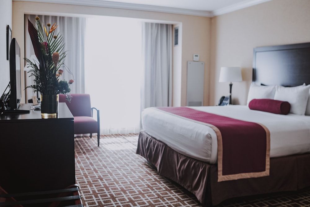 Miccosukee Casino & Resort Deluxe Room, 1 King Bed 2