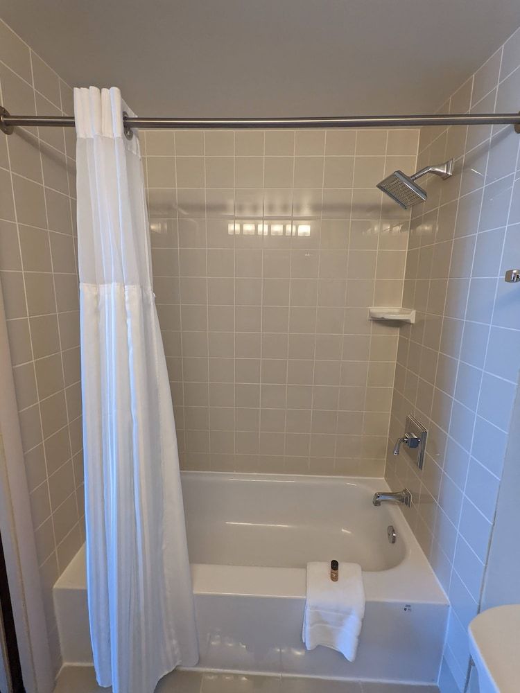 Miccosukee Casino & Resort Deluxe Room, 1 King Bed 6