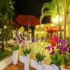 Lam Ha Resort