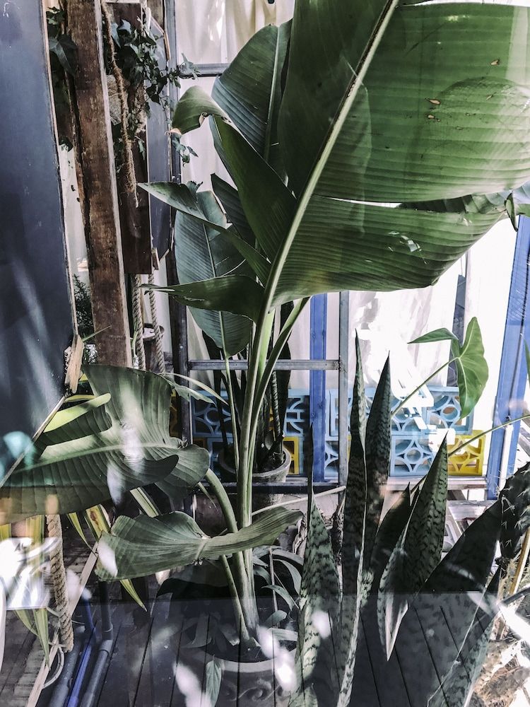 undefined The Fish Phu Quoc 4