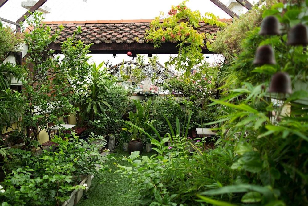 undefined Hotel Garden Queen 5