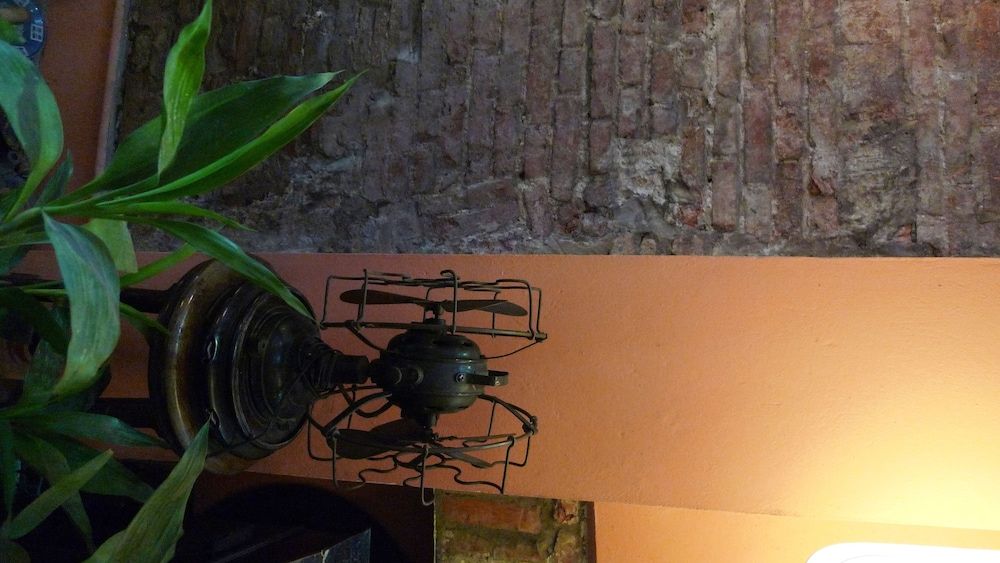 undefined Hotel Garden Queen