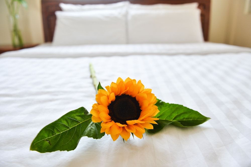 undefined Oc Tien Sa Hotel