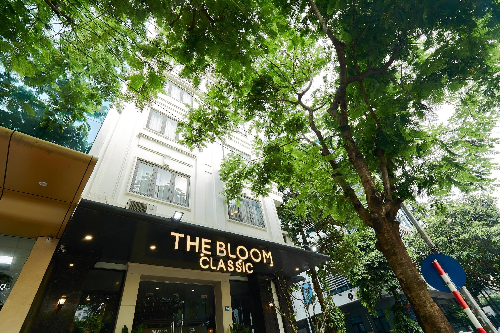 undefined The Bloom Classic – An Excellent Blend of Cozy Living and Urban Relaxation
