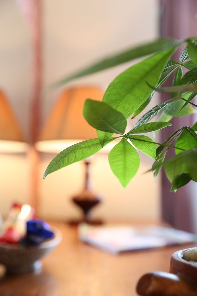 First Eden Hotel Suite 14