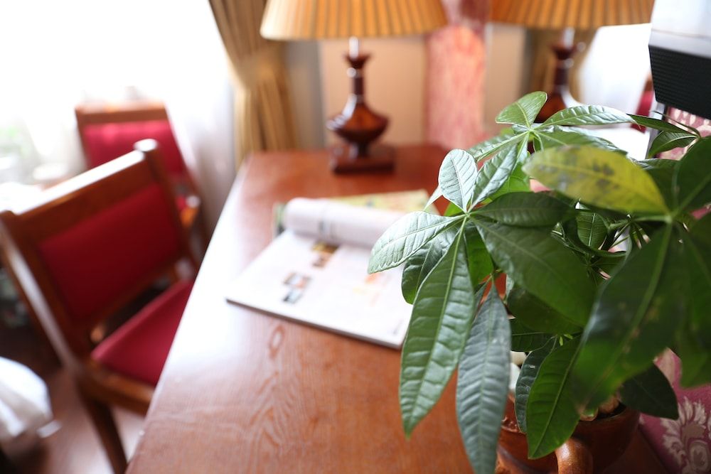 First Eden Hotel Deluxe Double or Twin City Window 14