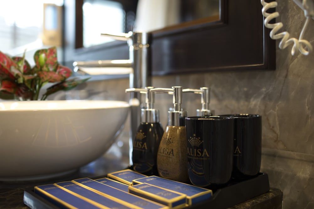 Alisa Premier Cruise Junior Suite Ocean View (Double/Twin) 11