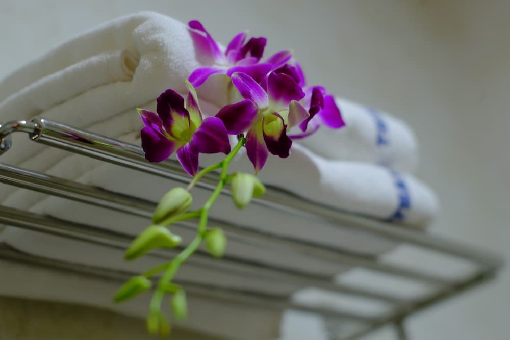 undefined Thanh Hoang Chau Hotel 3