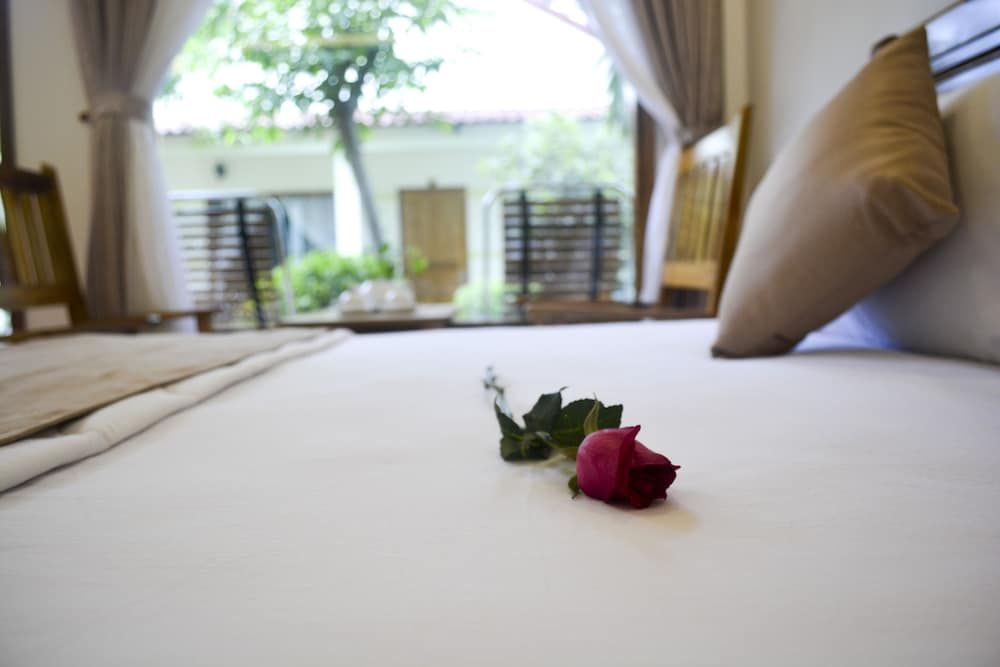 Ngoc Viet Bungalow Superior Bungalow 15