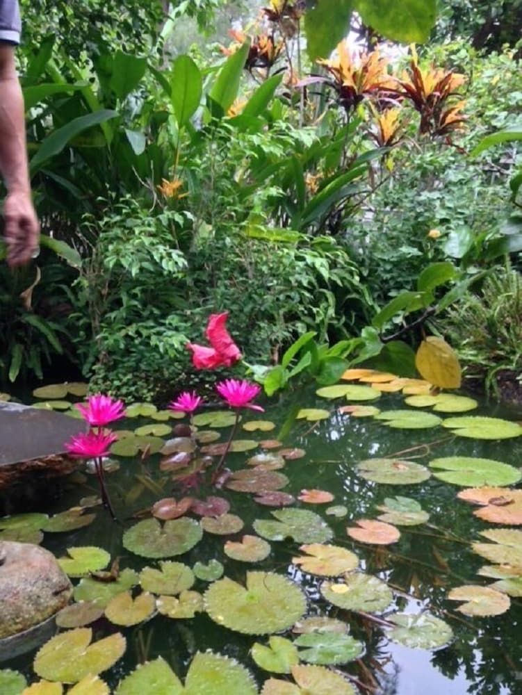 Tan Thanh Garden Homestay Double Room with Garden View 2 3