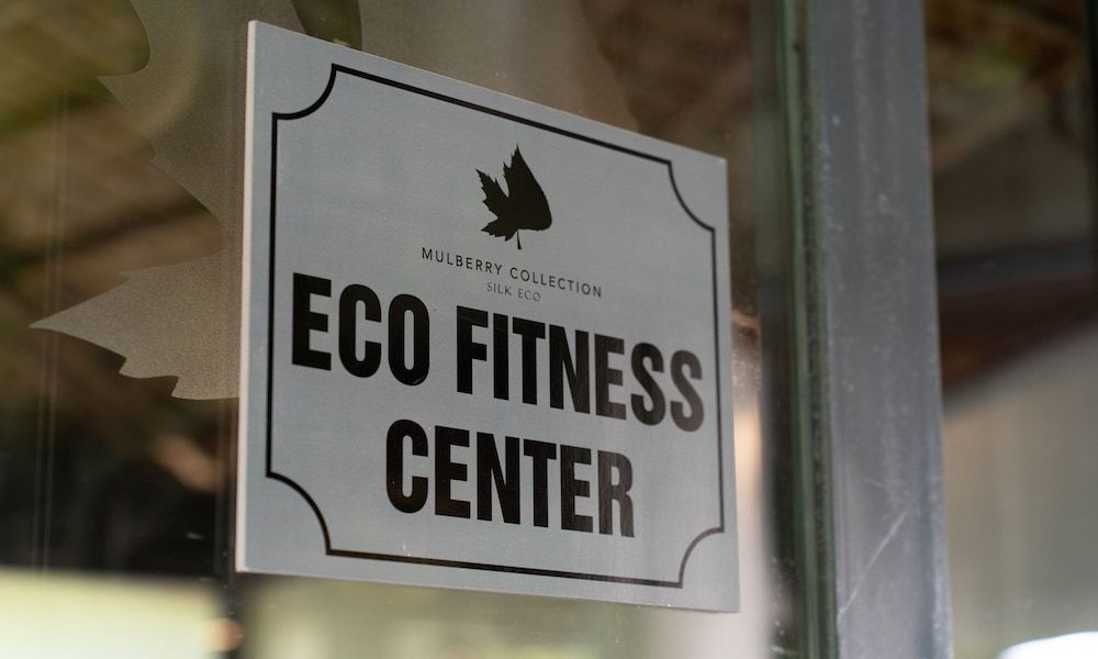 undefined Mulberry Collection Silk Eco 6