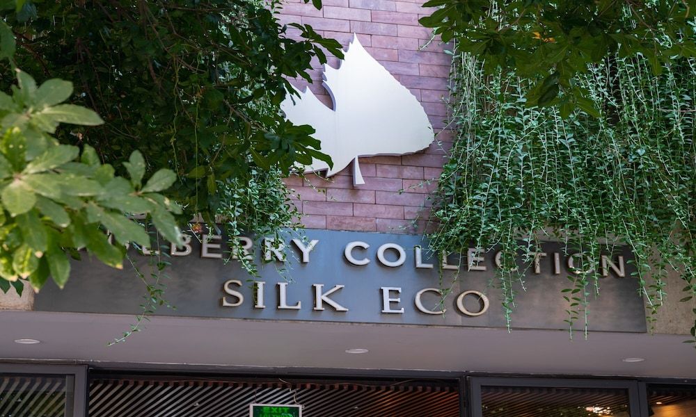 undefined Mulberry Collection Silk Eco 4