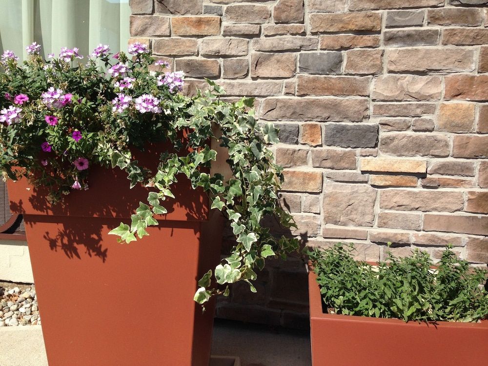 undefined Quality Inn & Suites - Toronto West 6