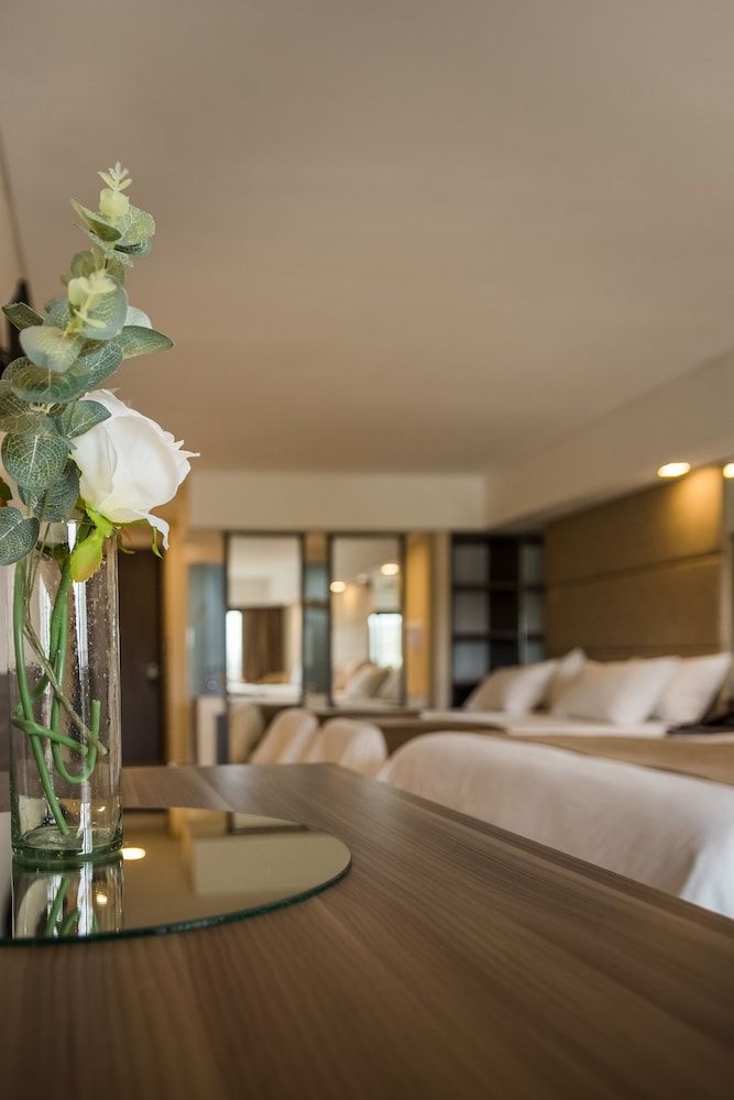 Eleton Resort & SPA Suite Standard con Balcon 2