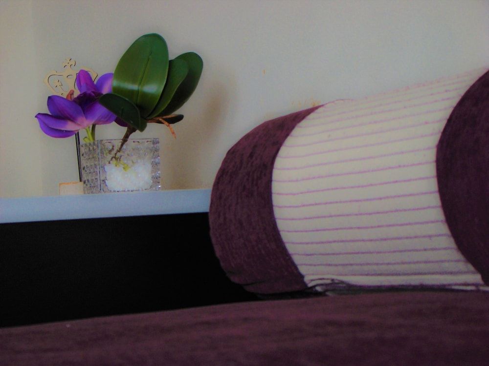 Petit Recoleta Suites Double Room 7