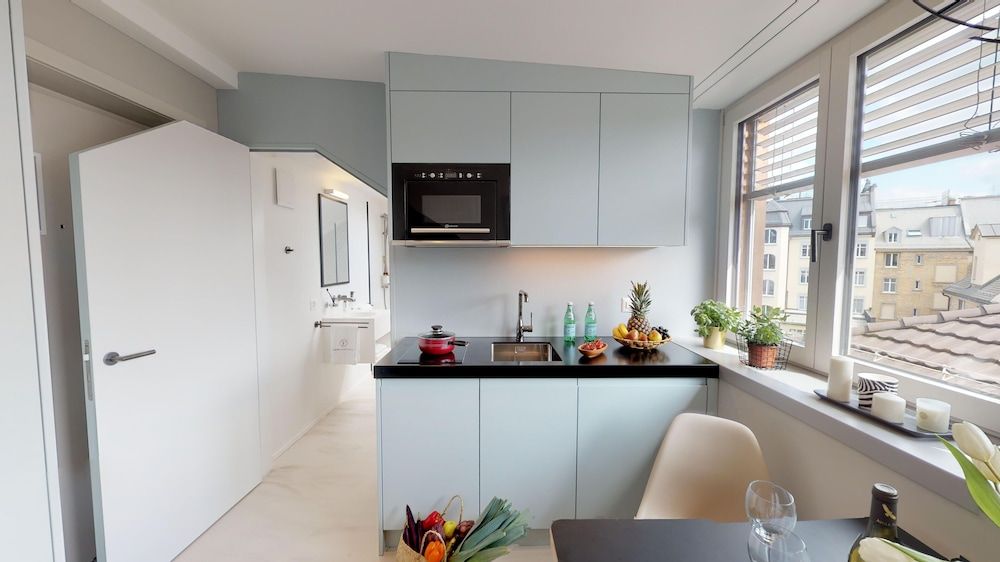 VISIONAPARTMENTS Zurich Zweierstrasse Studio Apartment Mini 4