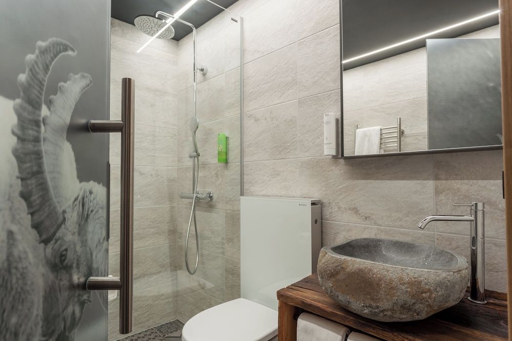 Hotel Jägerhof Small Alpine Double Room 4