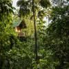 La Tigra Rainforest Lodge