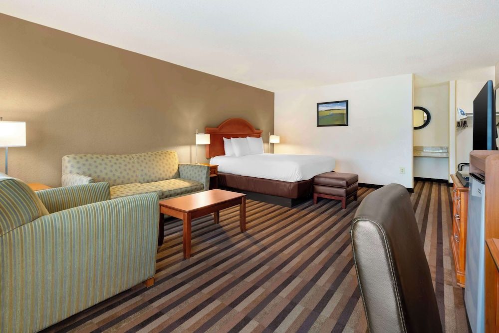 Suite, 1 King Bed, Non Smoking, Refrigerator & Microwave (with Sofabed)