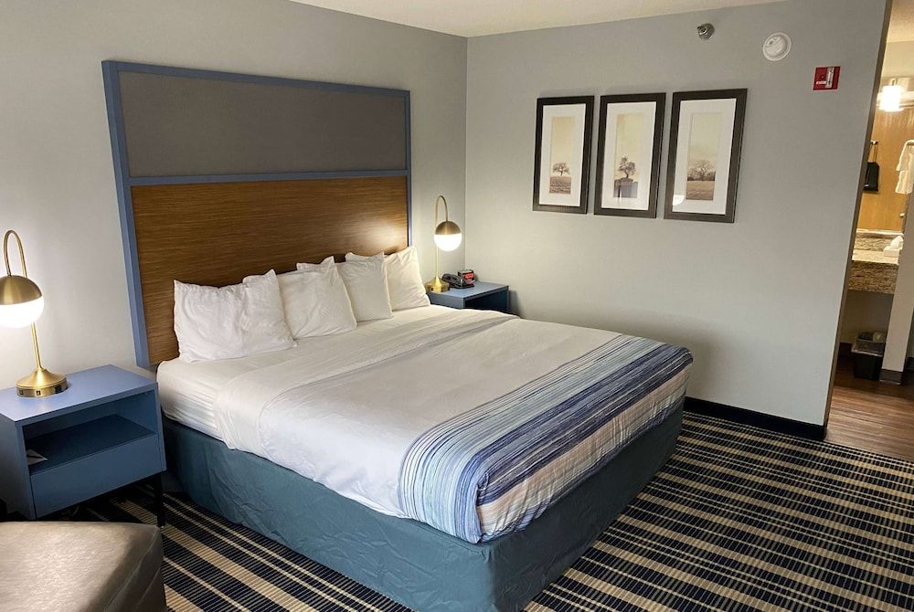Room, 1 King Bed, Non Smoking