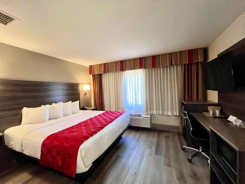 Business Room, 1 King Bed, Non Smoking (One-Bedroom)