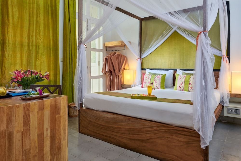 undefined Blue Lime 2