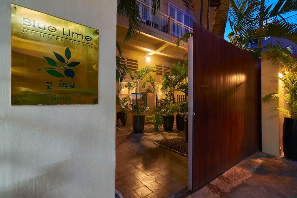 undefined Blue Lime 4