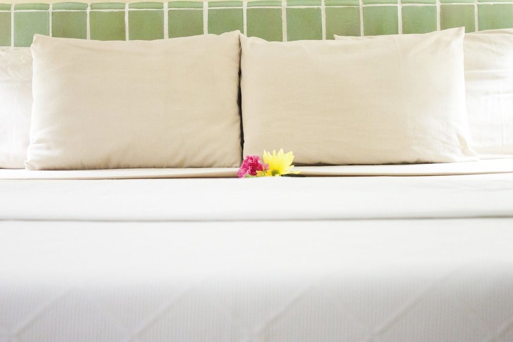 Coral Ixtapa Standard Room