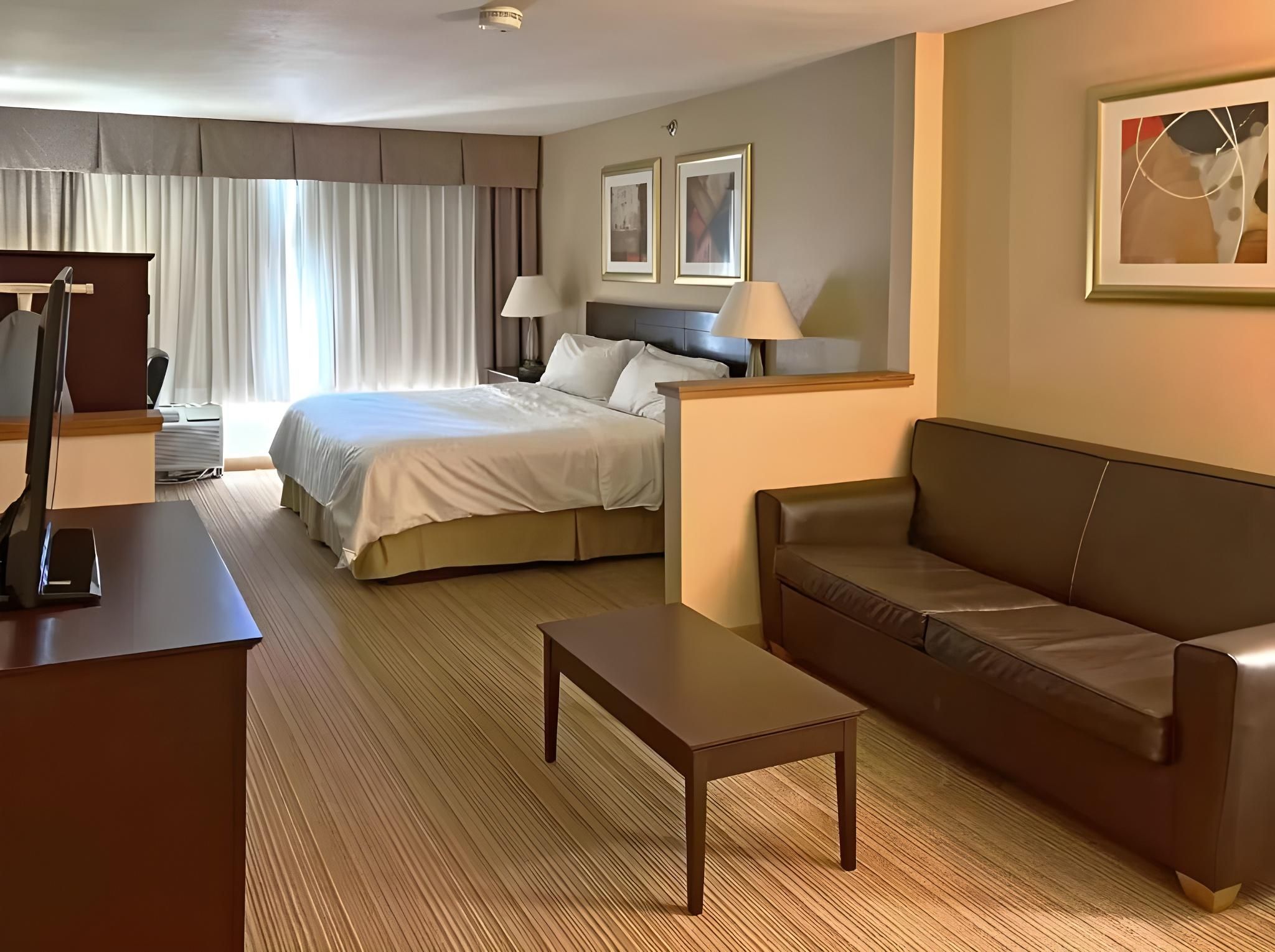1 King Bed, Suite, Nonsmoking