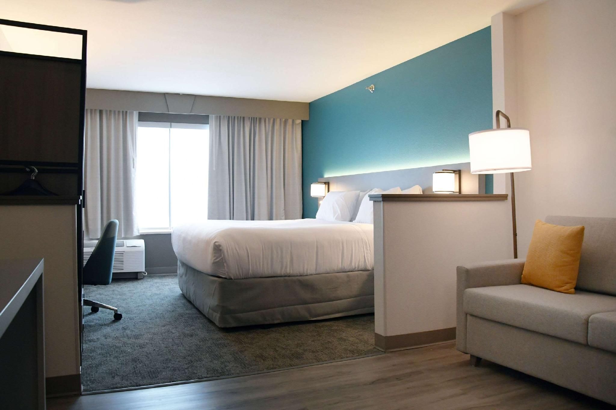 1 King Bed, Suite, Nonsmoking, Accessible
