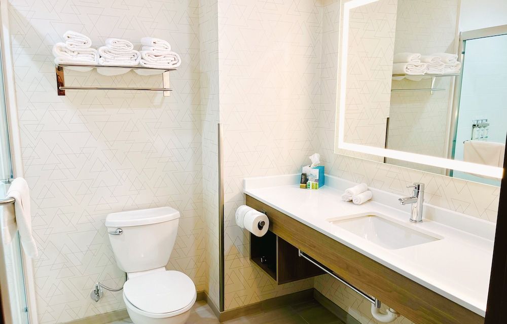 Suite, 1 King Bed, Mountain View