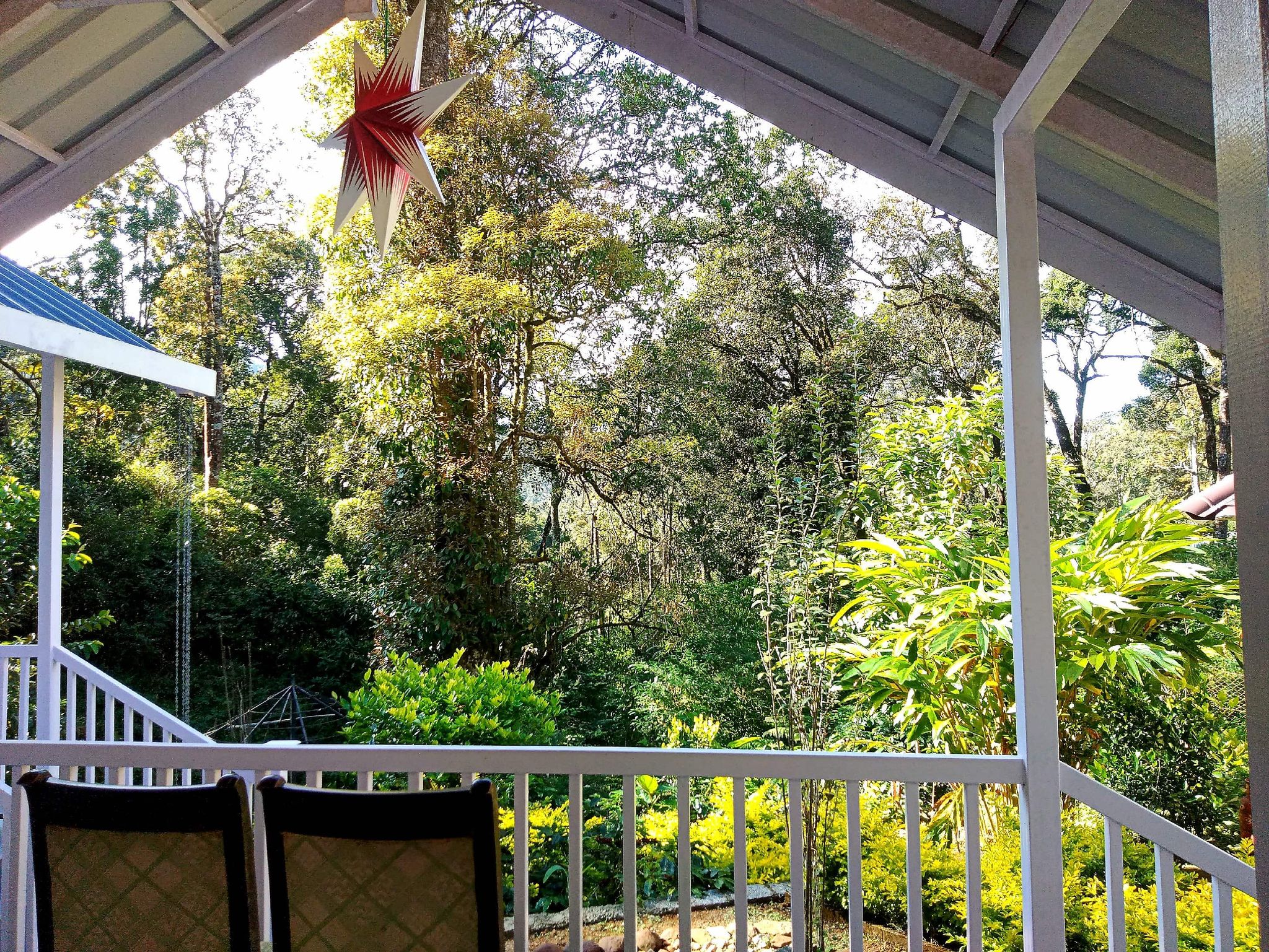 undefined Rainforest Munnar Resort 2