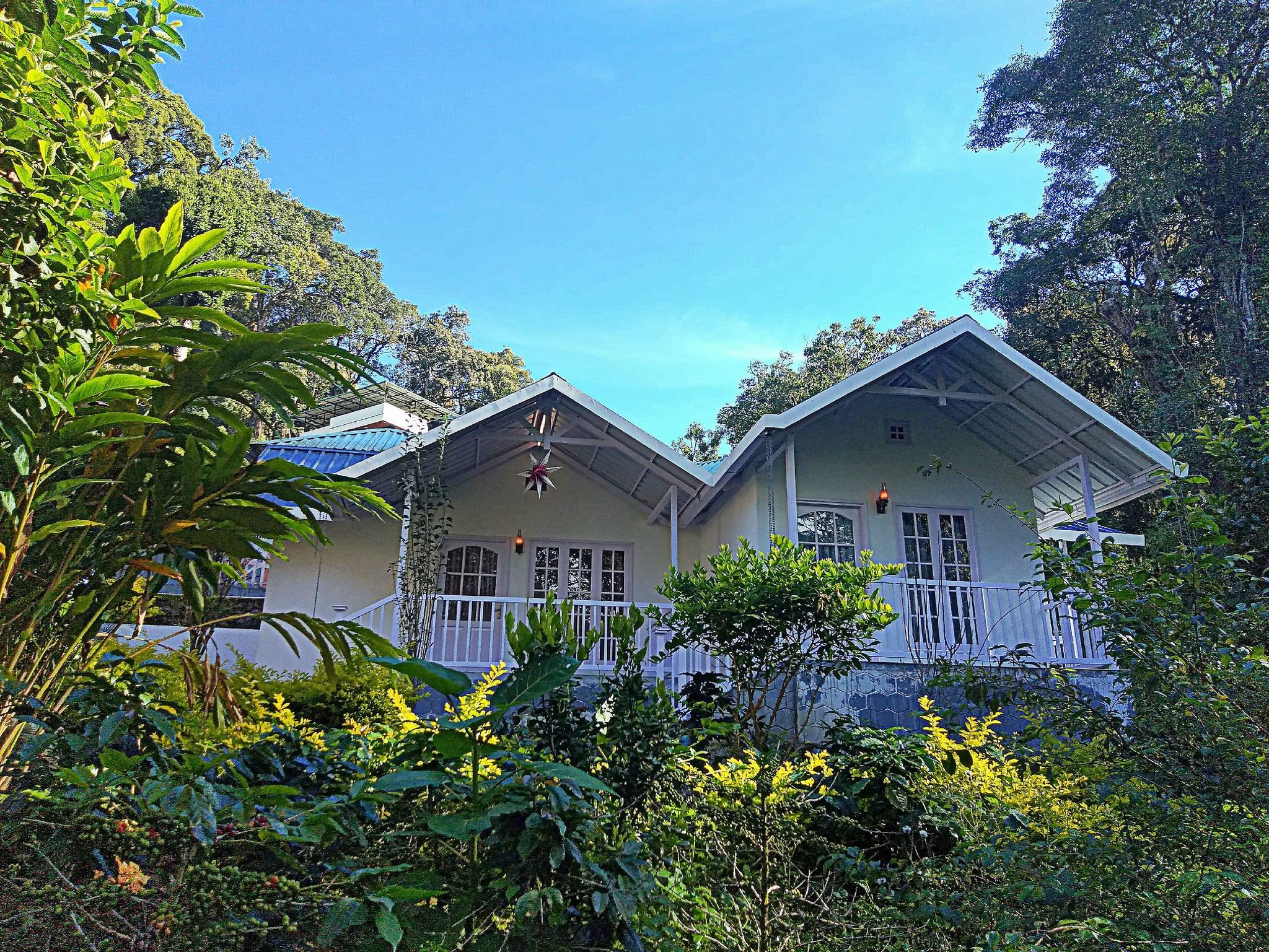 undefined Rainforest Munnar Resort