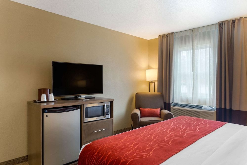 Room, 1 King Bed, Accessible, Non Smoking