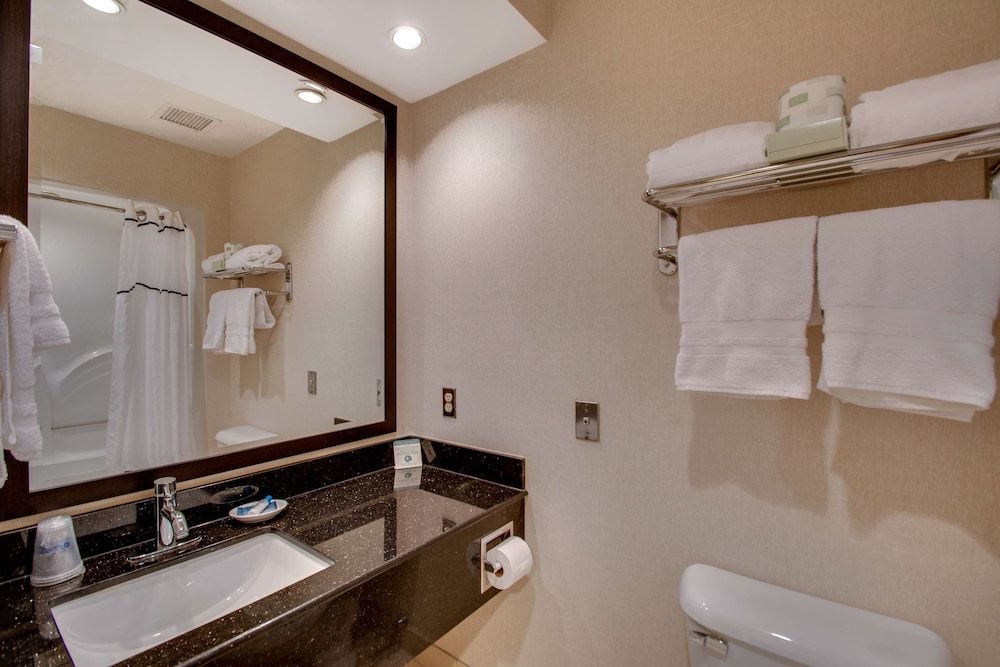 Suite, 1 King Bed, Non Smoking, Refrigerator & Microwave (with Sofabed)