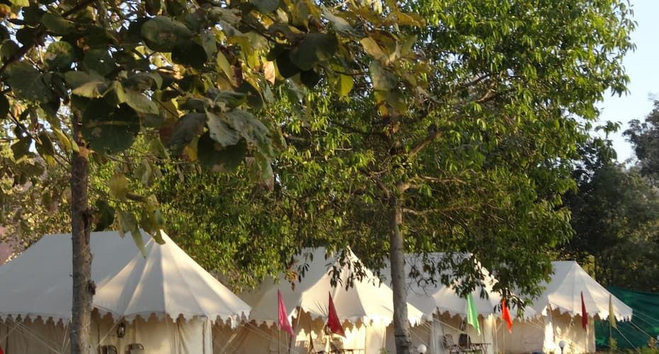 undefined Royal Pushkar Camps 3