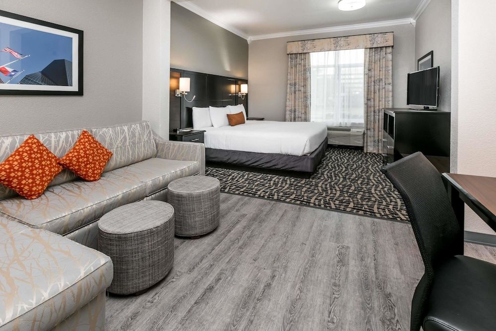 Standard Room, 1 King Bed with Sofa bed, Non Smoking