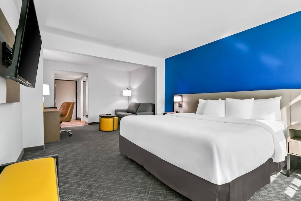 Standard Room, 1 King Bed with Sofa bed, Non Smoking