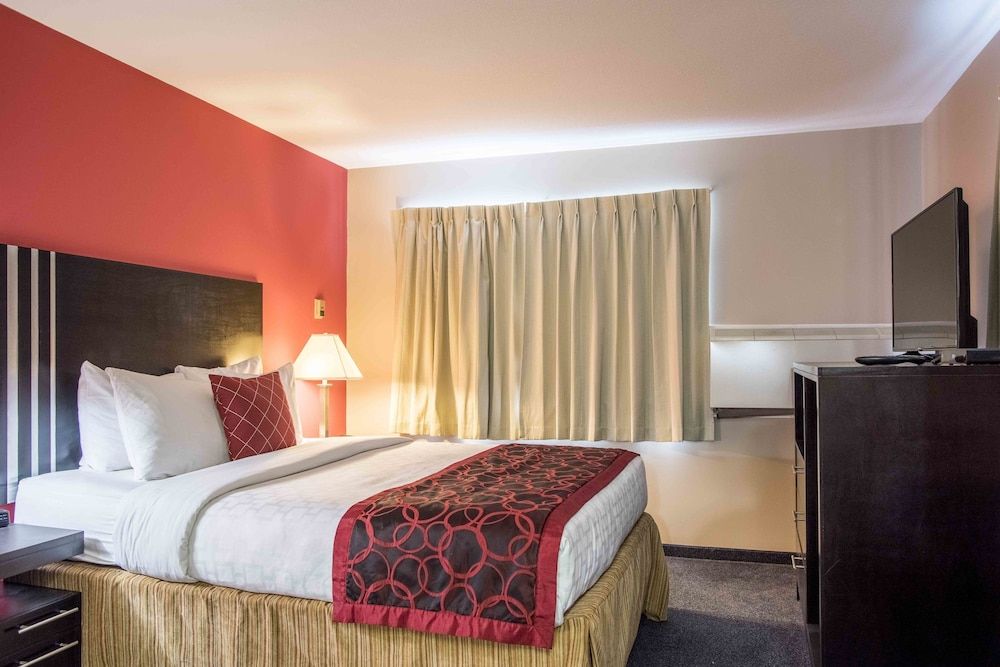 Room, 1 Queen Bed, Non Smoking (Pet Friendly)