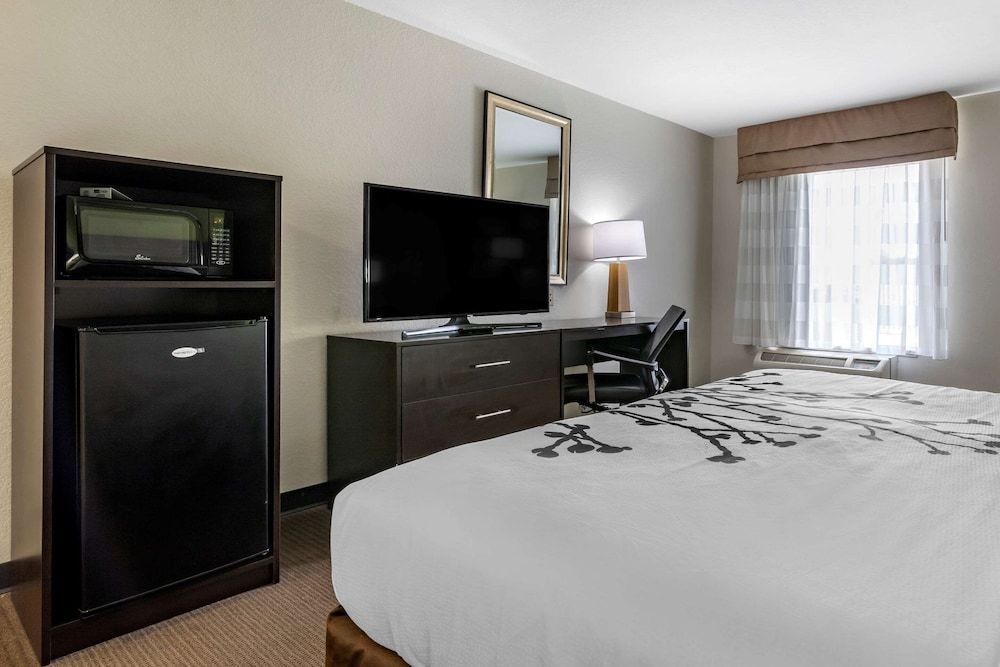 Sleep Inn And Suites Brunswick Room, 1 King Bed, Accessible, Non Smoking 3