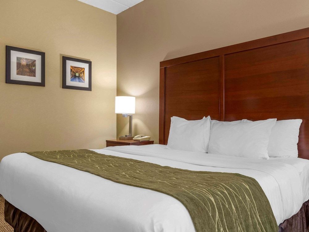 Standard Room, 1 King Bed, Accessible, Non Smoking