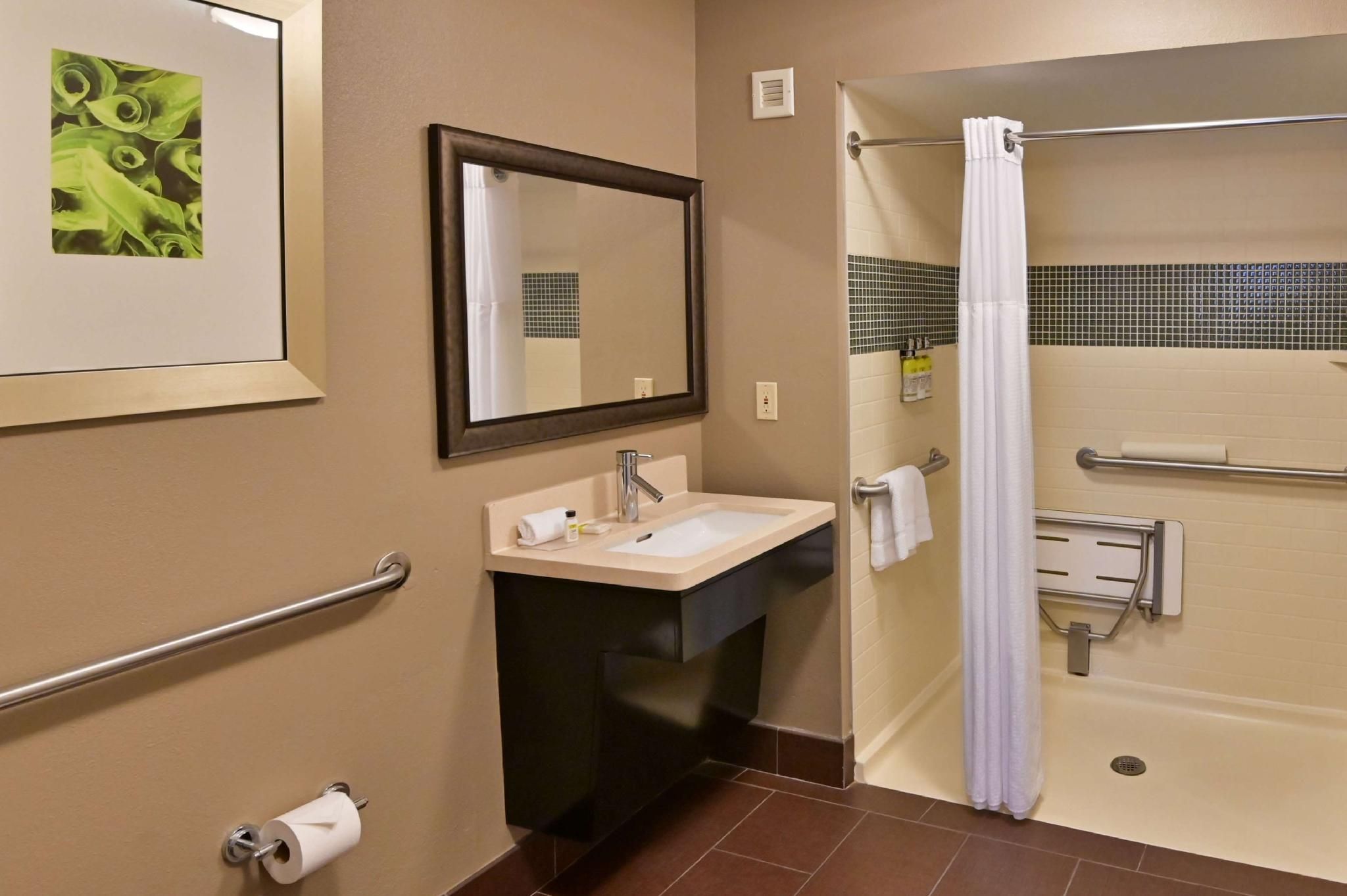 Mobility Accessible One Bedroom Suite Queen Roll-In Shower