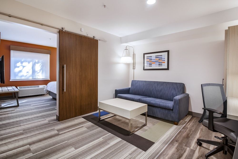 Suite, 1 King Bed with Sofa bed