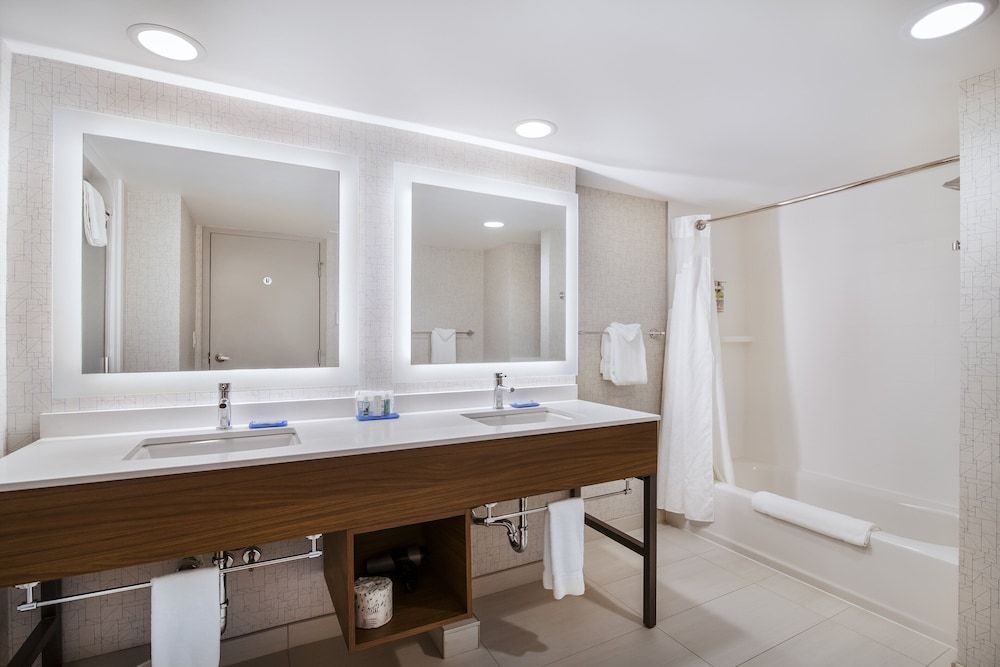 Suite, 1 King Bed with Sofa bed