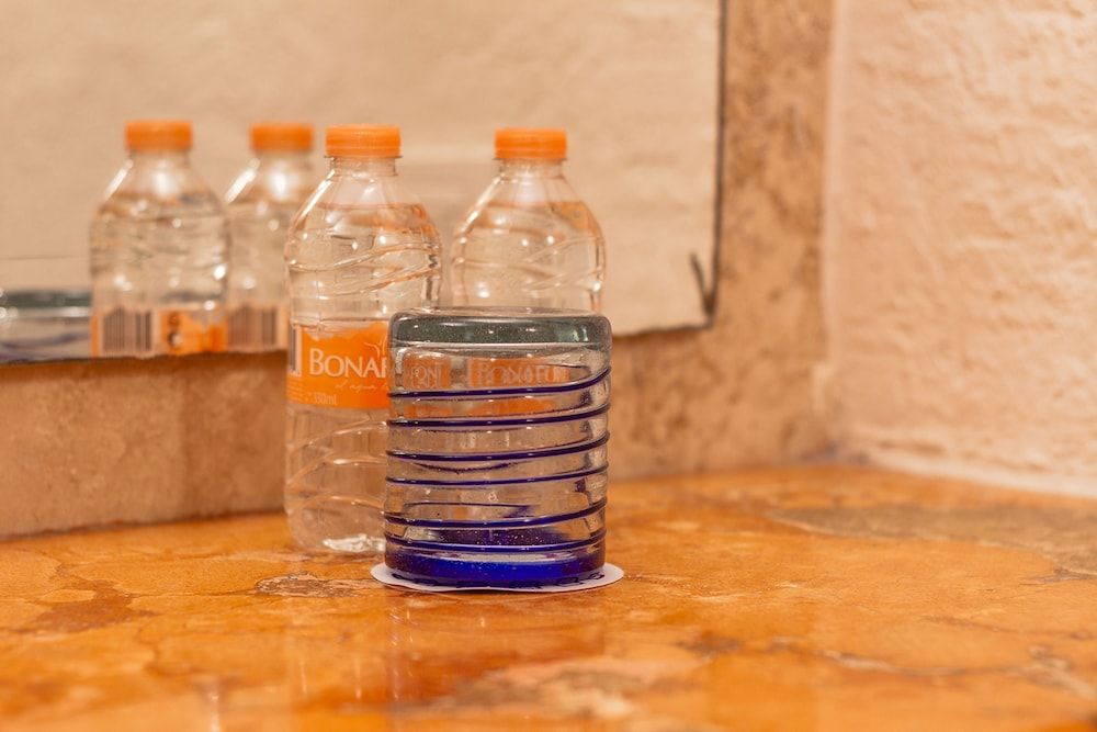 Camino Real Guadalajara Suite Embajadores 3