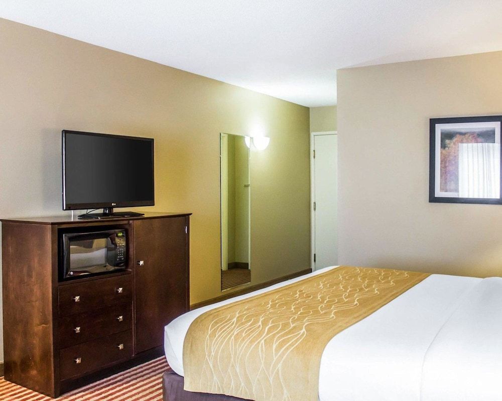 Standard Room, 1 King Bed, Non Smoking