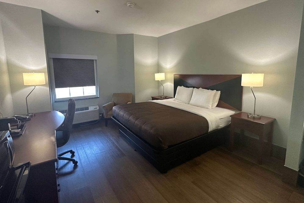 Room, 1 King Bed, Non Smoking