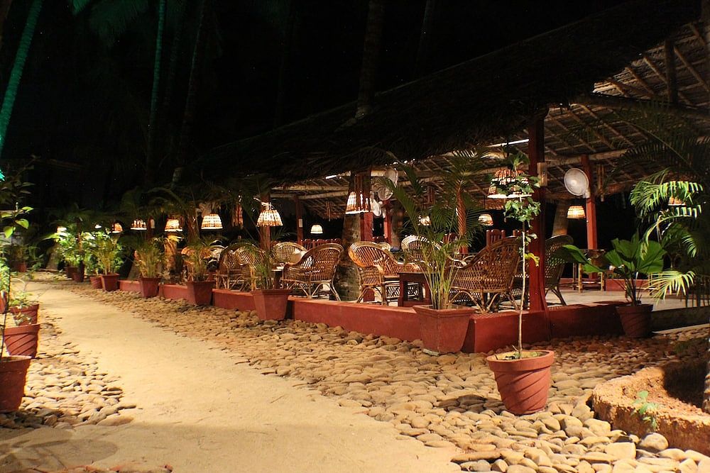 undefined Palm Trees Ayurvedic Heritage 3
