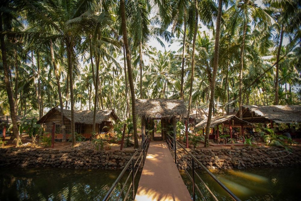 undefined Palm Trees Ayurvedic Heritage