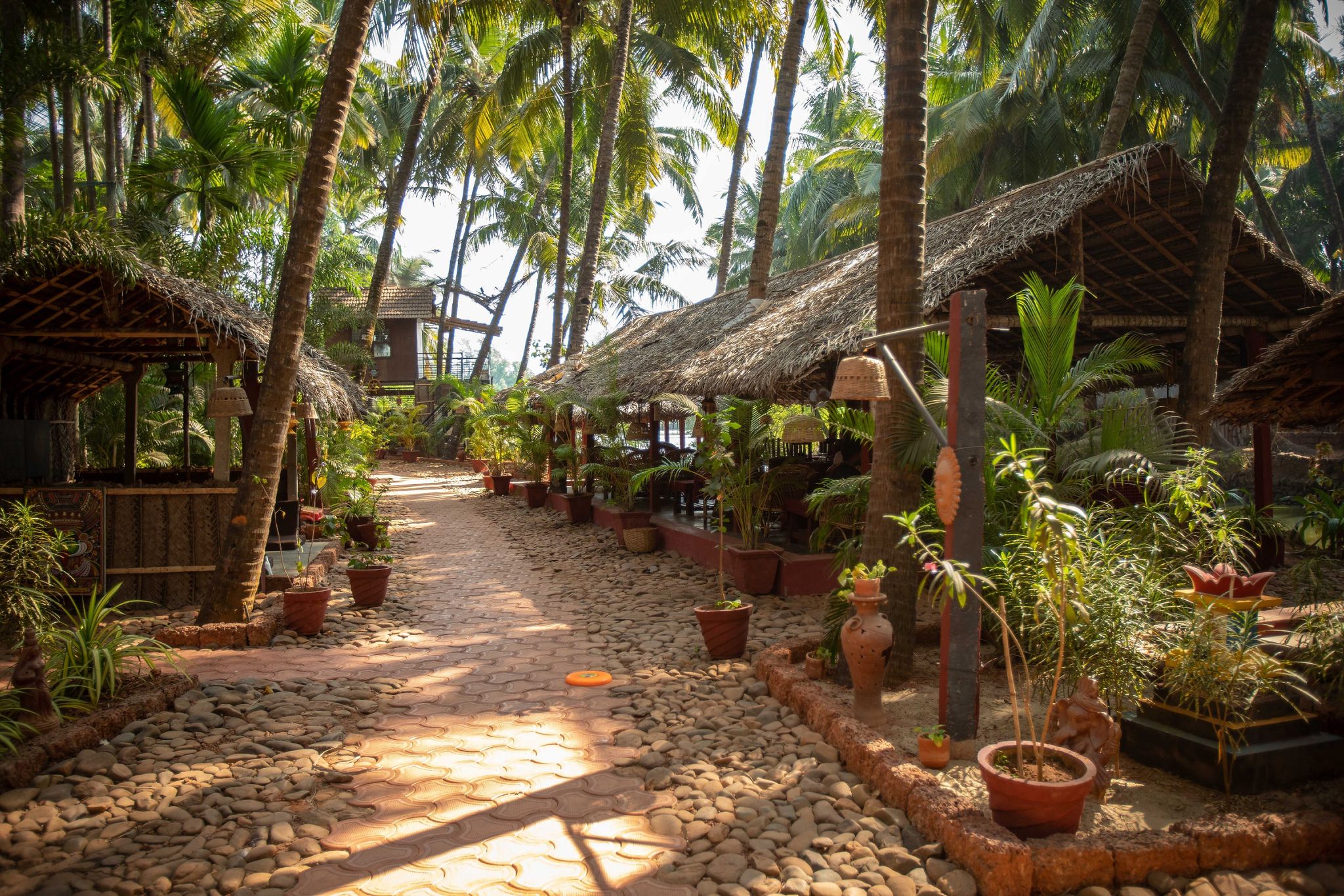 undefined Palm Trees Ayurvedic Heritage 6